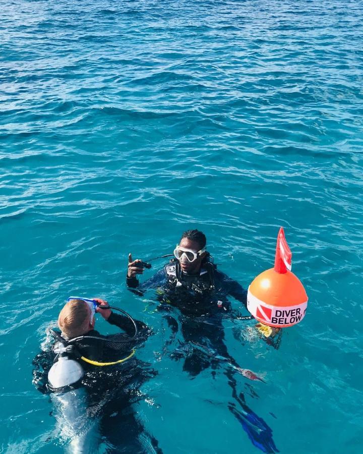 Dive Planet Mafia Island Utende Kültér fotó